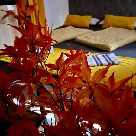 Mehic * モスタル